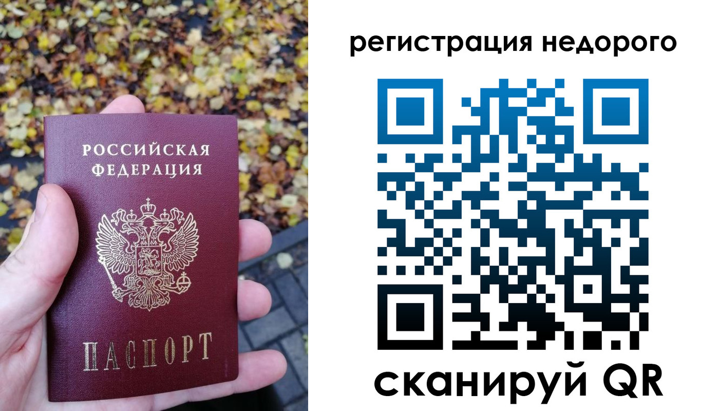 прописка для школы в Чехове